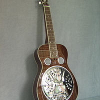 Dobro instrument Clearance